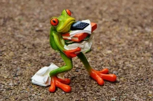 grenouille